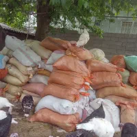 کود بوقلمون|حیوانات مزرعه|خشکبیجار, |دیوار