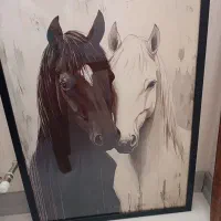 تابلو مخمل با قاب طلایی|تابلو، نقاشی، عکس|شیراز, فرگاز|دیوار