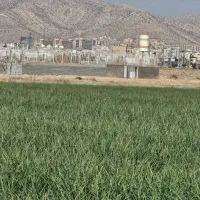 فروش ۱۰۰۰ متری در شهرک گلستان
