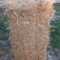 کاه برنج تعداد پنجاه عدد