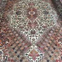 بختیاری جذاب گل مینا