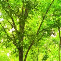 کلاس خصوصی پایه اول تا سوم دبستان ومشاور تحصیلی