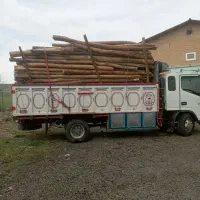 خرید چوب آلات کهنه|خدمات باغبانی و درختکاری|کوثر, |دیوار