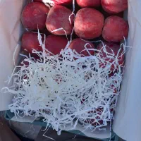 فروش سیب قرمز