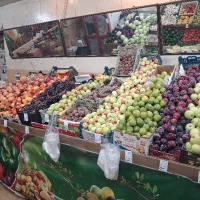 شاگرد برای میوه فروشی
