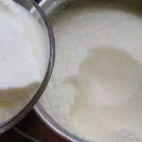 ماست گاوی محلی و پرچرب|خوردنی و آشامیدنی|قم, دورشهر|دیوار