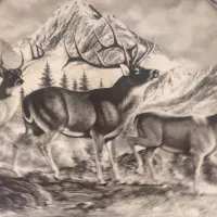 میوه خوری کنار سالن