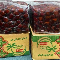 خرمای خاصه جم