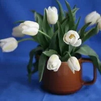 حواله اطلس s