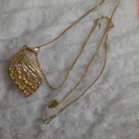 پلاک و زنجیر طلا