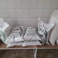 برنج محلی فجر سوزنی