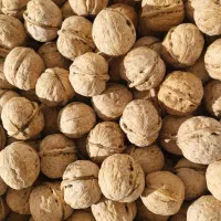 گردو دماوند چرب و خوش مغز|خوردنی و آشامیدنی|فیروزکوه, |دیوار