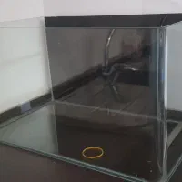 آکواریوم شیشه خم شرکتی