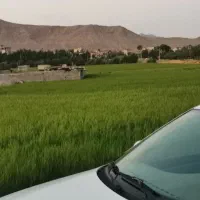 زمین چهاردیواری ویلایی روبه رودخانه وصحرا|فروش زمین و ملک کلنگی|مبارکه, |دیوار