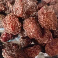 الو بخارا درشت کیلویی ۵۵۰