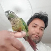 گرینچینگ گمشده محدوده خرمشهر11و9