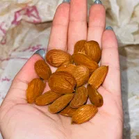 فروش بادام عمده درجه یک و تازه شیرین