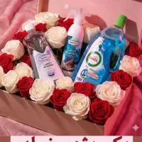 جرم گیر|لوازم نظافت|قیدار, |دیوار