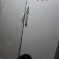 یخچال فریزردوقلو پارس سالم