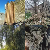 خرید درخت و چوب ساختمانی سقفی وضایعاتی