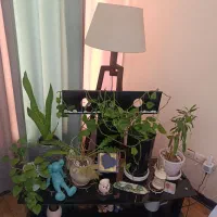 فروش فوری|تخت و سرویس خواب|کیش, |دیوار