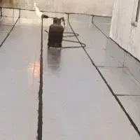 ایزوگام آسفالت قیرگونی چکی|خدمات پیشه و مهارت|یاسوج, |دیوار