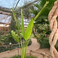 تور یک روزه