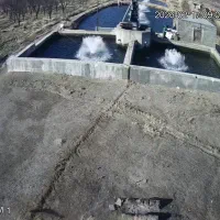 نگهبان پرورش ماهی در ماهنشان