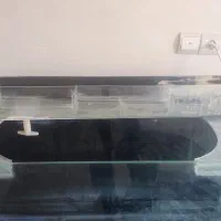 یک عدد آکواریوم با پایه|ماهی|خرمآباد, |دیوار