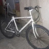 دوچرخه اساک دنده ای