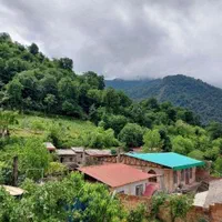 ویلای جنگلی زرین گل|اجارهٔ کوتاهمدت ویلا و باغ|علیآباد کتول, |دیوار