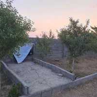 باغ با درختان بزرگ|فروش زمین و ملک کلنگی|مشهد, درزآب|دیوار