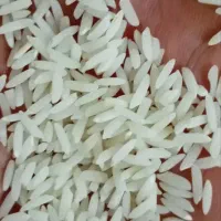 برنج طارم فجر محلی عطری امسالی وصدری دم سیاه اعلا