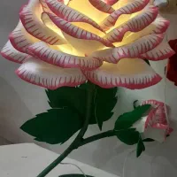 گل های اباژوردار|حراج|الیگودرز, |دیوار