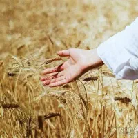 مشاوره تلفنی و همراهی در تصمیم‌گیری