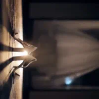 اتلیه عکس|خدمات پذیرایی، مراسم|شیراز, فرهنگ شهر|دیوار