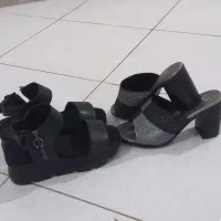 صندل کرم اصل