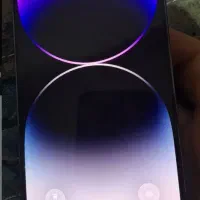 14 pro max