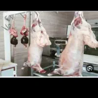 قصاب سیار برای خانوار در هر نقطه شهر