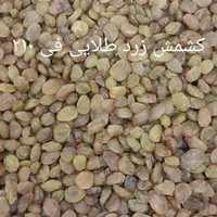 فروش انواع کشمش های افتابی|خوردنی و آشامیدنی|دلیجان, |دیوار