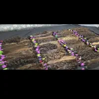 مرکز خرید موی  بانوان (عروسک شهر)