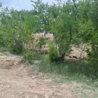 باغ فروشی مهریز