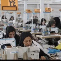 سروز کار حرفه ای  خانوم نیمه وقت
