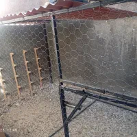 قفس پرندگان