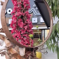 آینه دایره‌ای