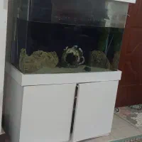 آکواریوم شیشه خم خارجی