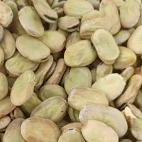 باقالی خشک درجه یک به مقدار ۲تن