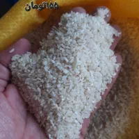 برنج فجر خوش پخت وعالی در خدمتم|خوردنی و آشامیدنی|انبارآلوم, |دیوار