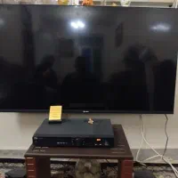 تلویزیون ۵۱اینج اسنوا