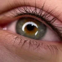 اموزش تتو صورت /ارایش دائم|خدمات آموزشی|فردیس, منظریه|دیوار